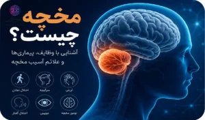 مخچه